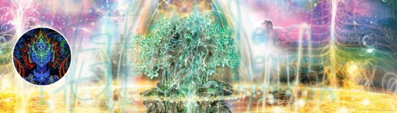 New Artist Profile 2